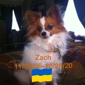 Meet your Posher, Jun